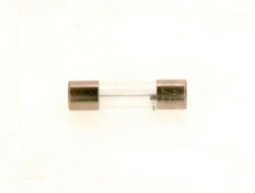 Bosch Sicherung in zylindrischer Form mit metallischen Endkappen und transparentem Glaskörper.